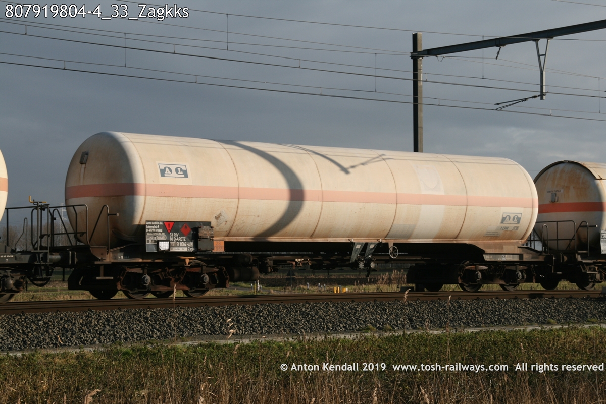 807919804-4_33_Zagkks.jpg